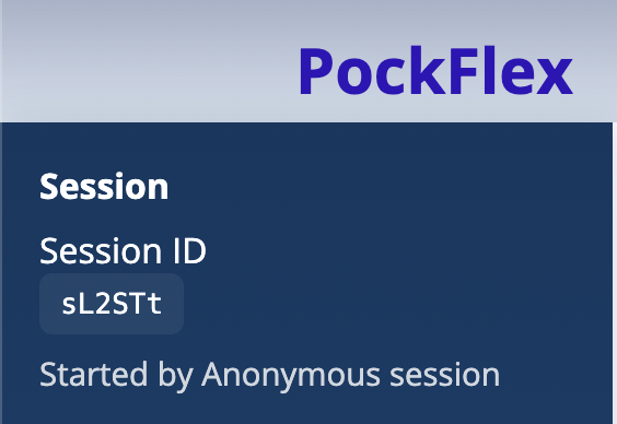 Work session interface