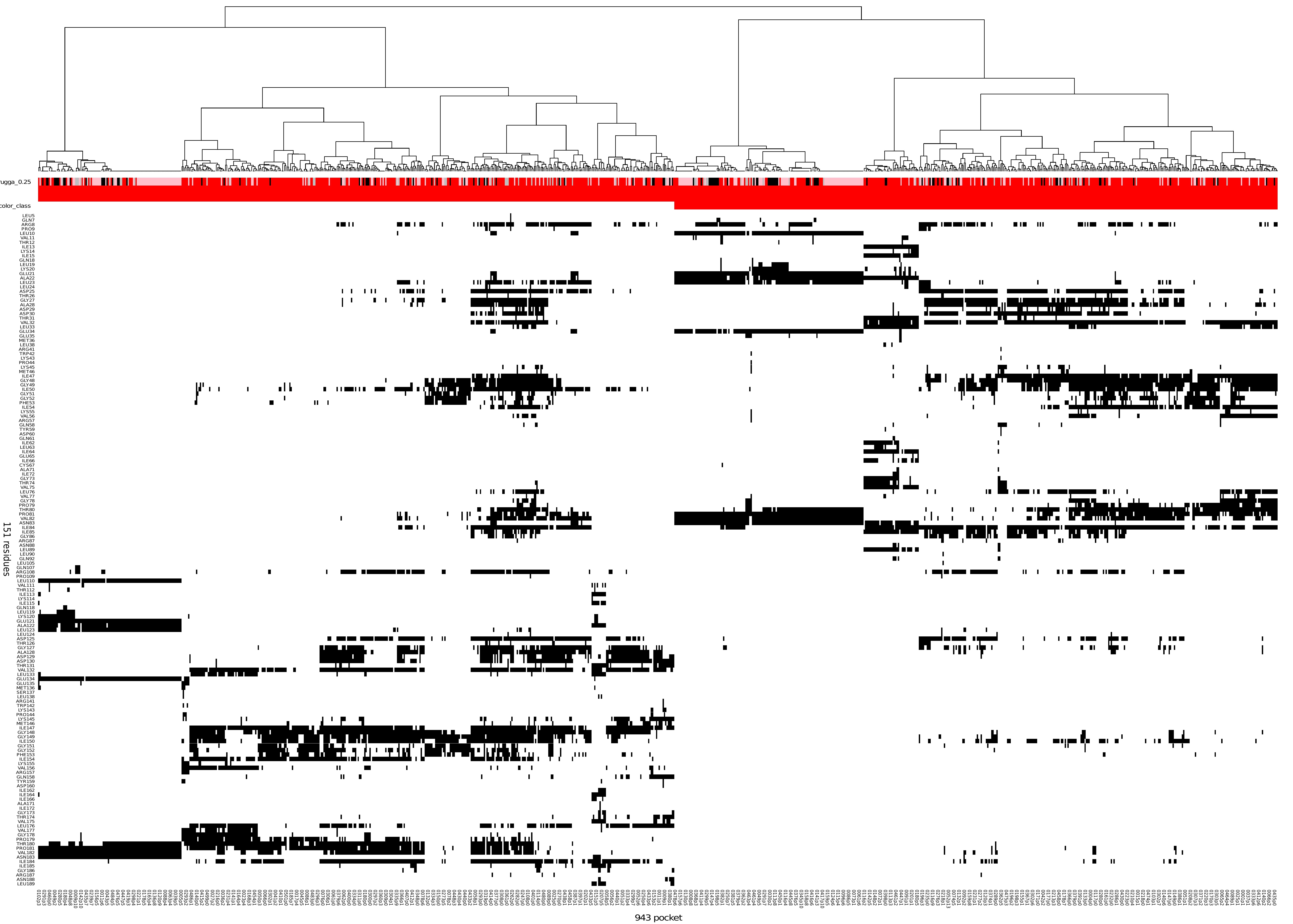 Global heatmap and clustering